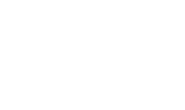 Avdos New Professional